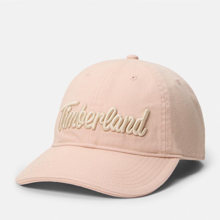 帆布刺繡標誌棒球帽